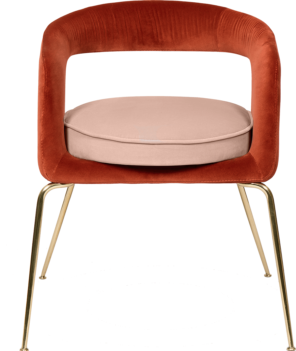 Ellen Dining Designer Velvet Chair