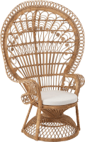 Garden Lounge Chair